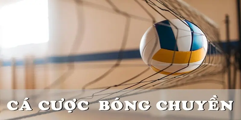 Cá cược bóng chuyền là gì?