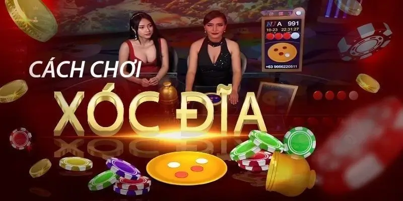 Cách Chơi Xóc Đĩa - Mẹo Hay Giúp Bạn Kiếm Tiền Mỗi Ngày